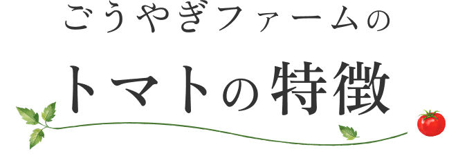 トマトの特徴
