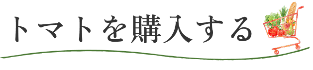 トマトの特徴